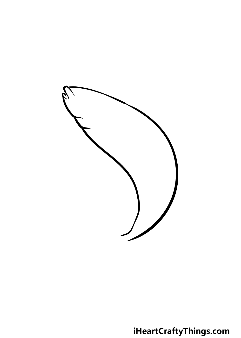 how to draw a Salmon step 1