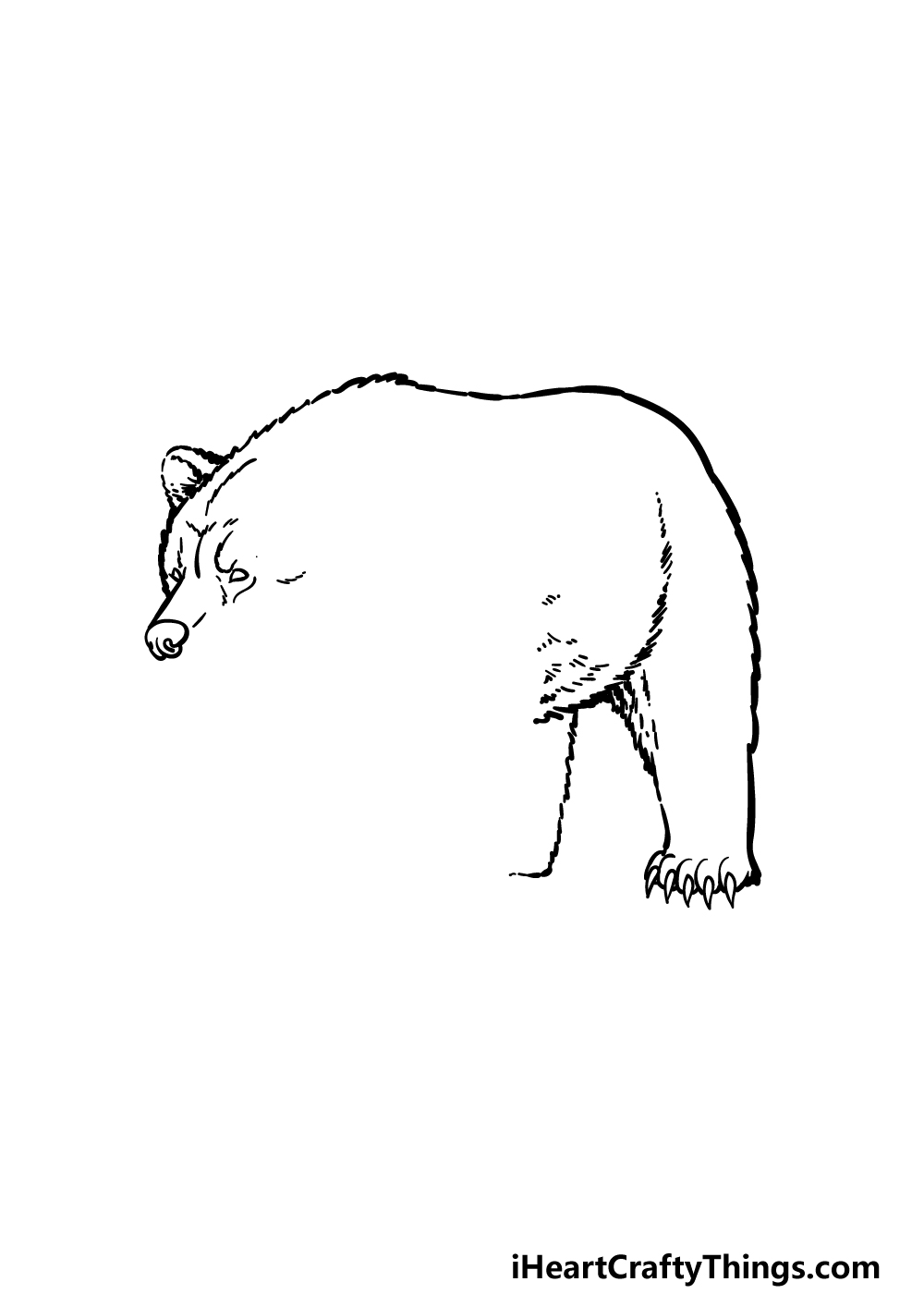 how to draw a grizzly bear step 2