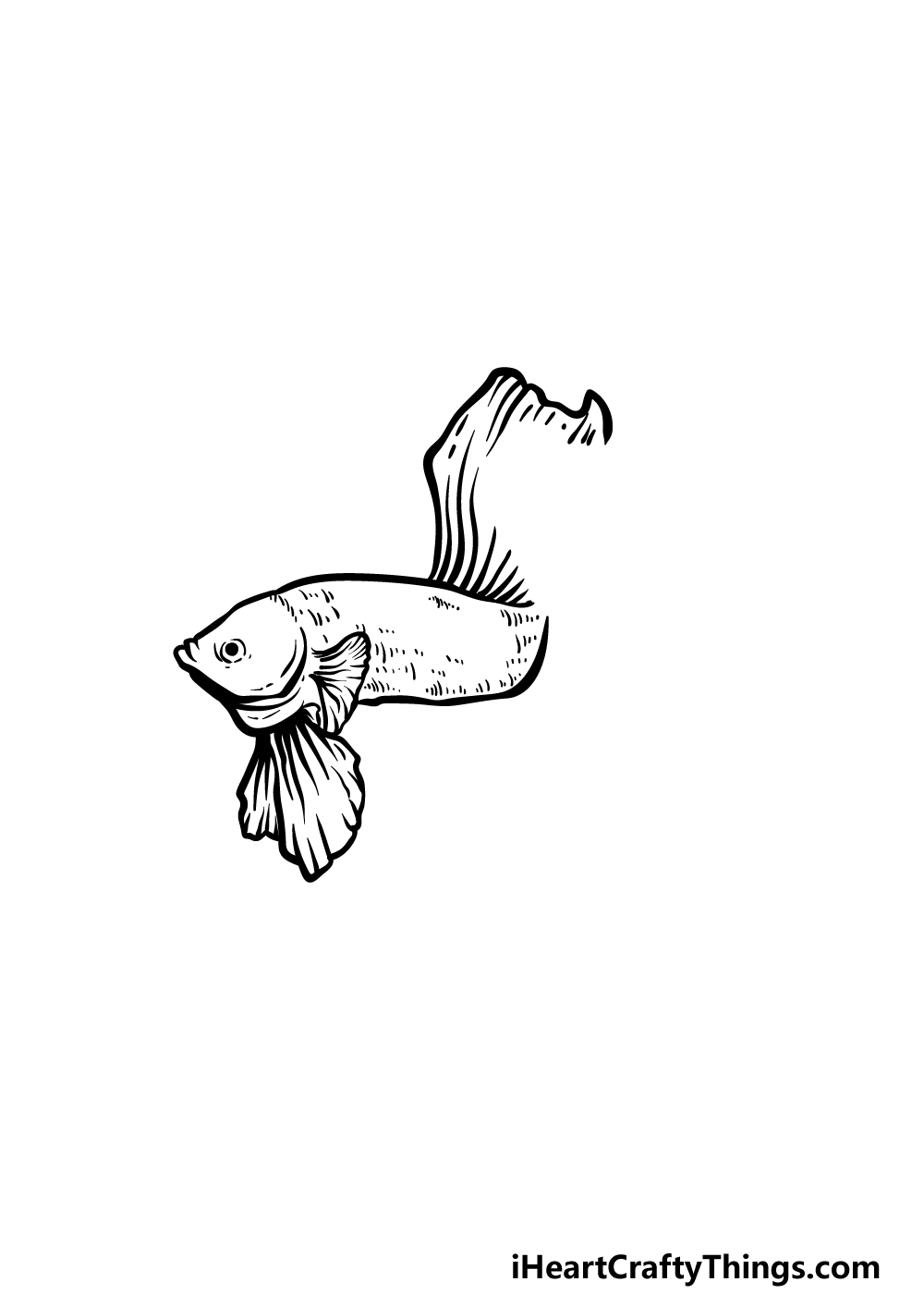 how to draw a Betta Fish step 2