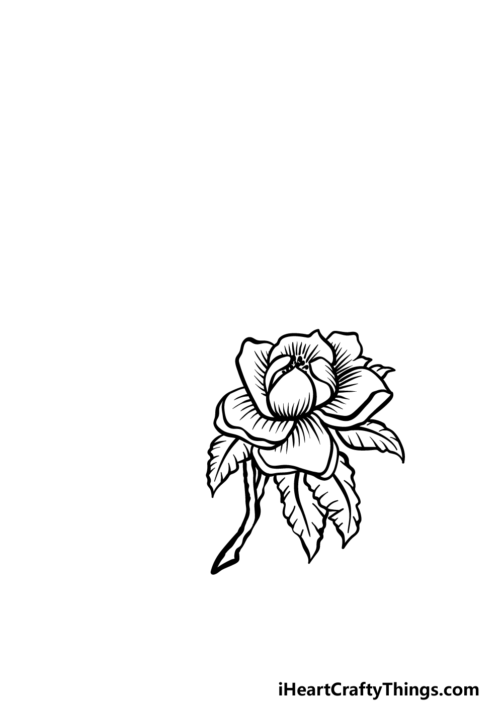 how to draw magnolia flower step 2