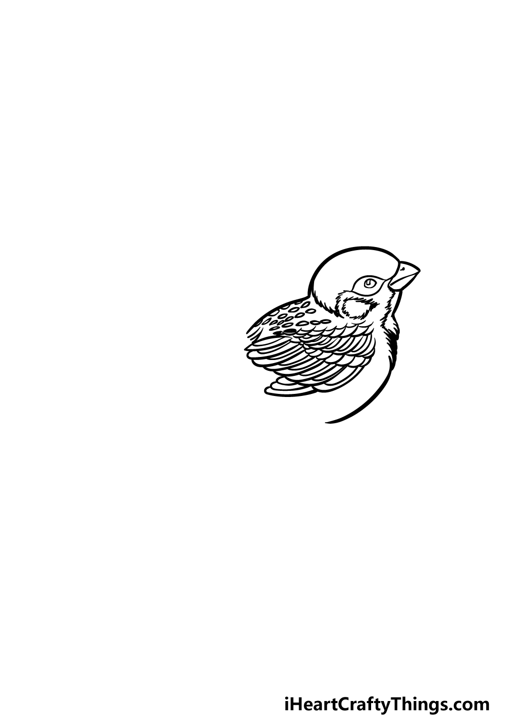 how to draw a sparrow step 2