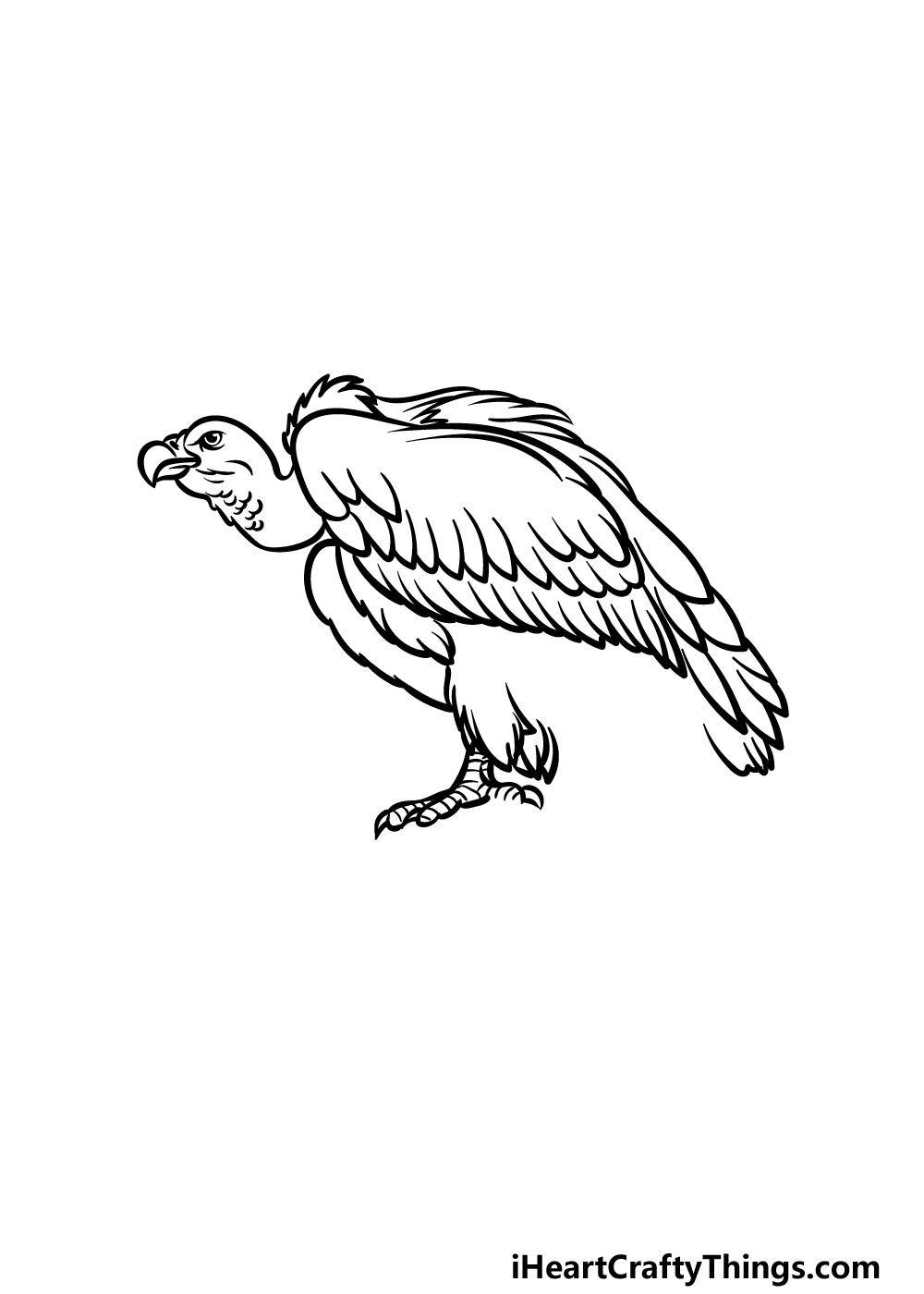 how to draw a Vulture step 3