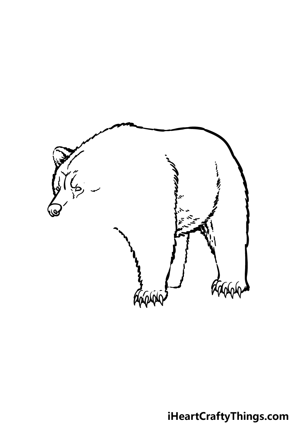 how to draw a grizzly bear step 3