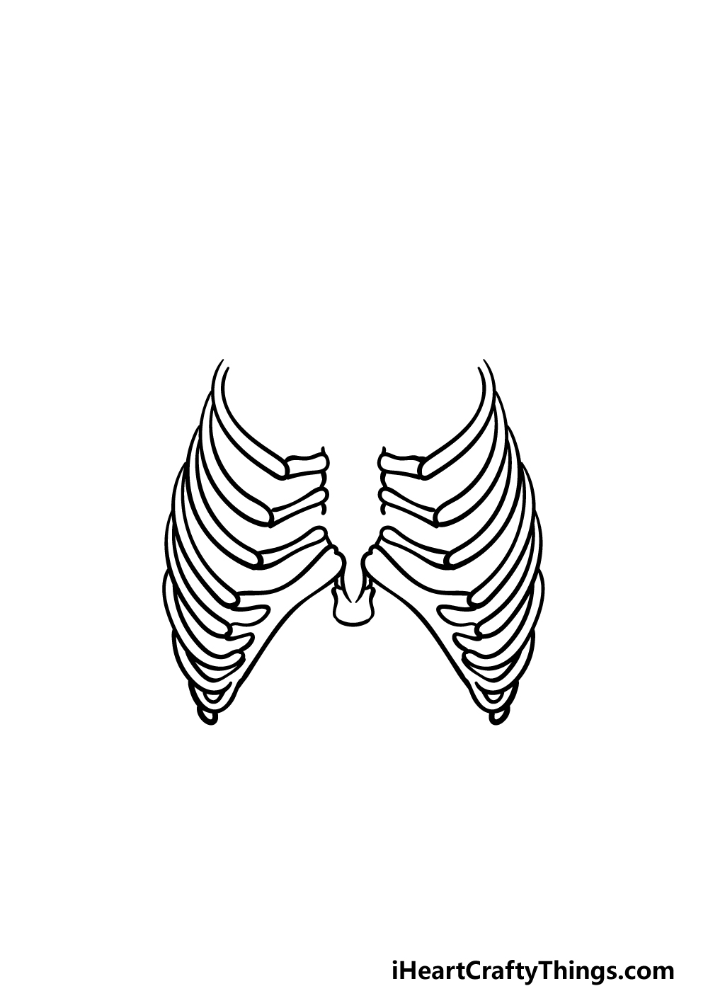 how to draw a rib cage step 3