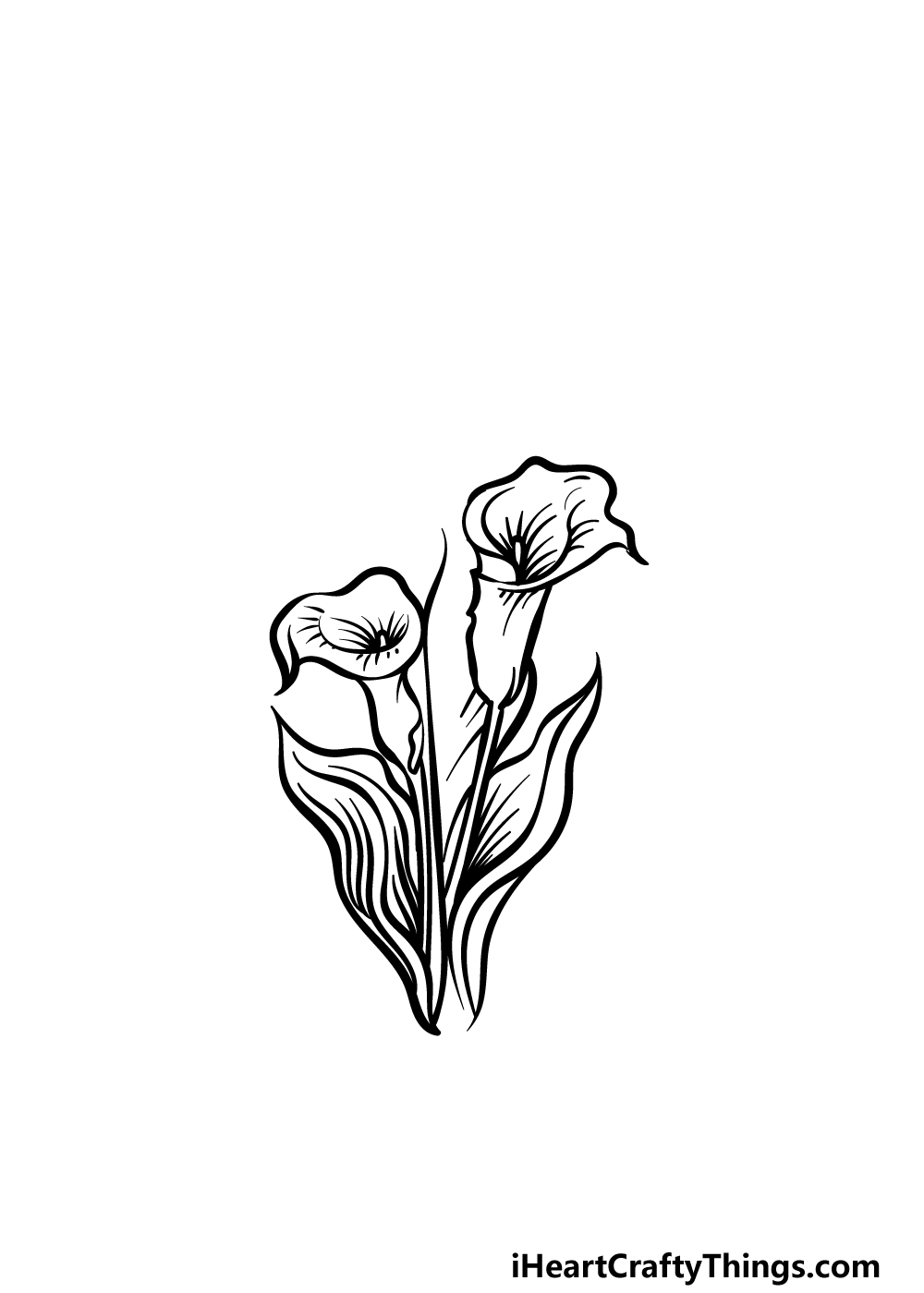 how to draw a Calla Lily step 3