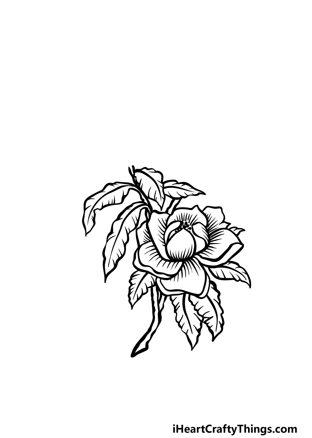 how to draw magnolia flower step 3
