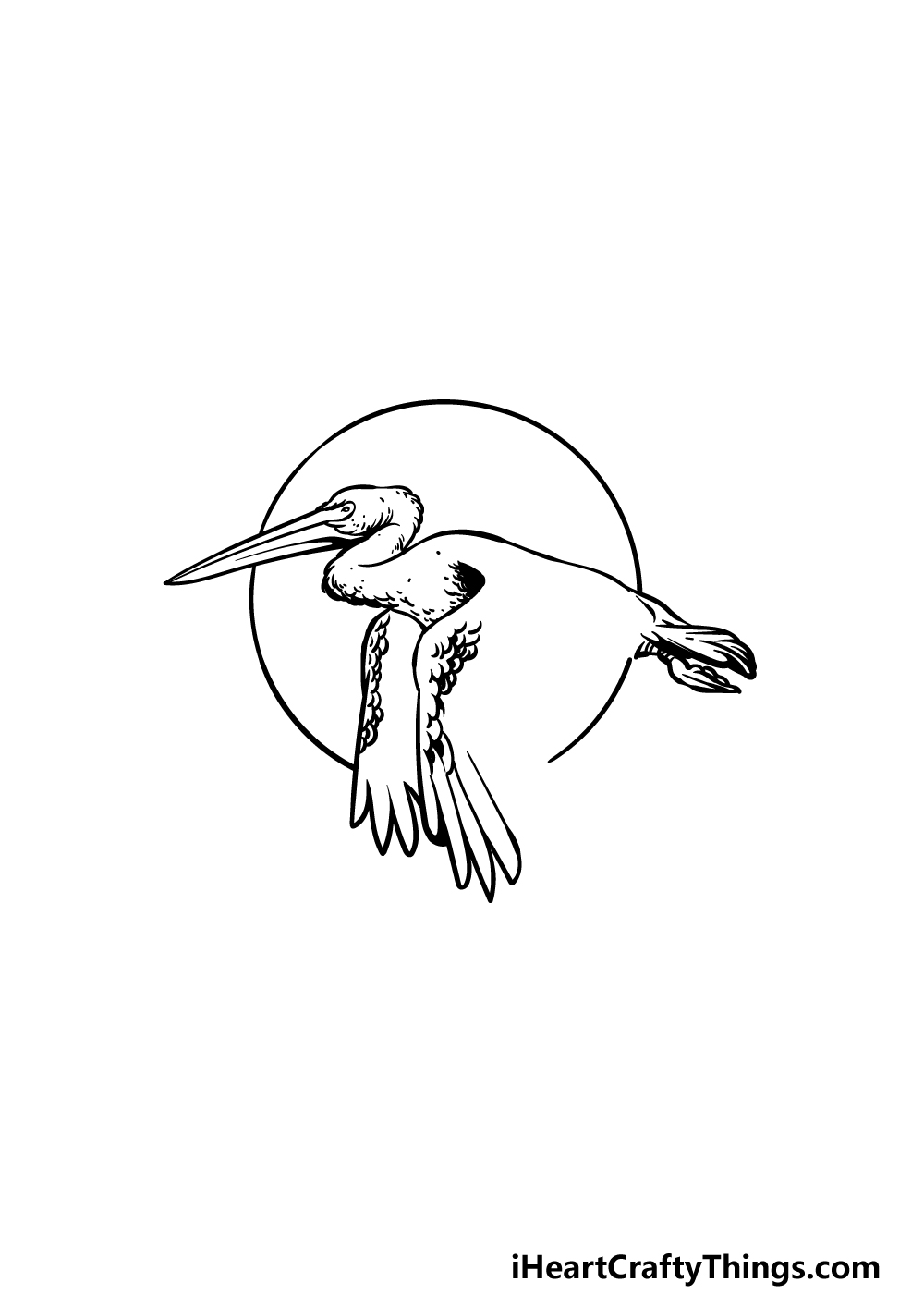 how to draw a pelican step 3