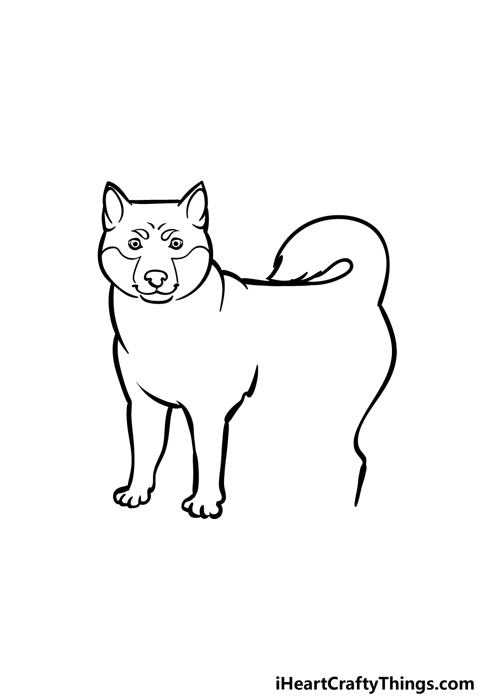 how to draw a Shiba Inu step 3