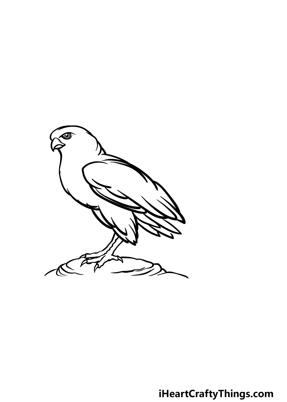 how to draw a Falcon step 3