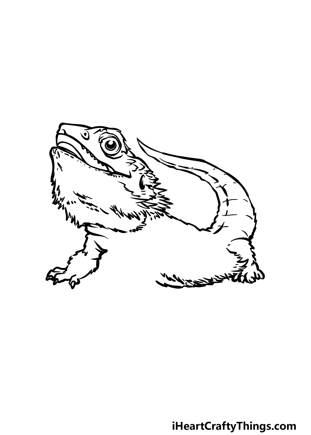 drawing a bearded dragon step 4