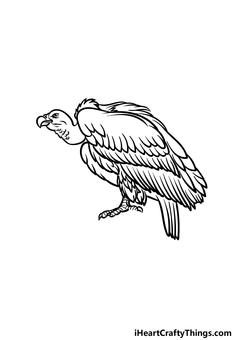 how to draw a Vulture step 4