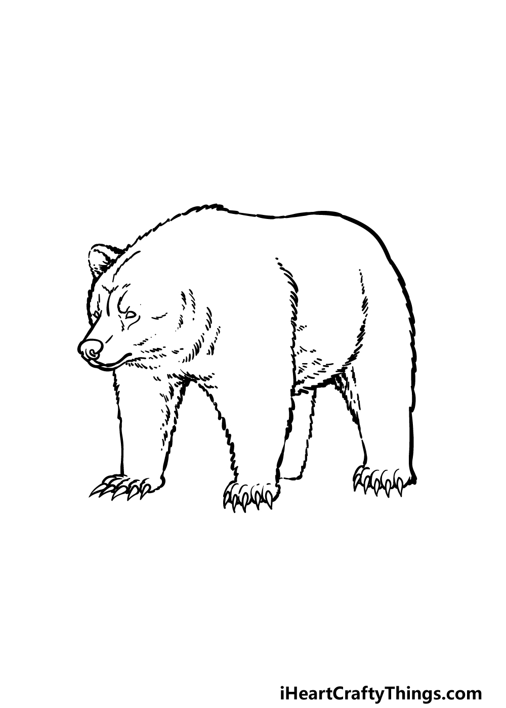 how to draw a grizzly bear step 4