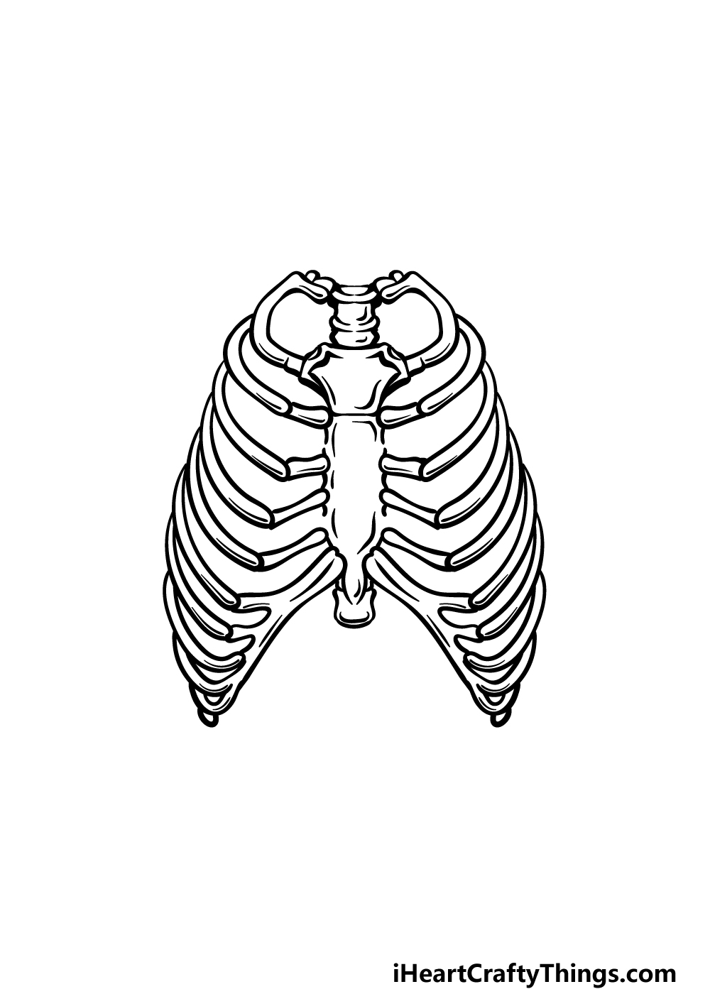 how to draw a rib cage step 4