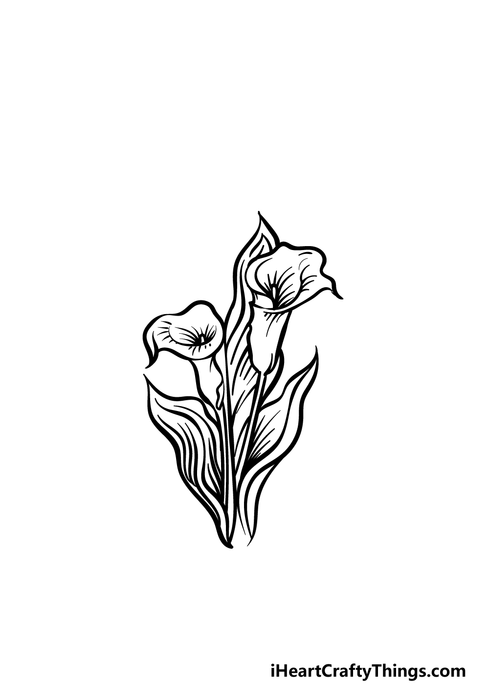 how to draw a Calla Lily step 4