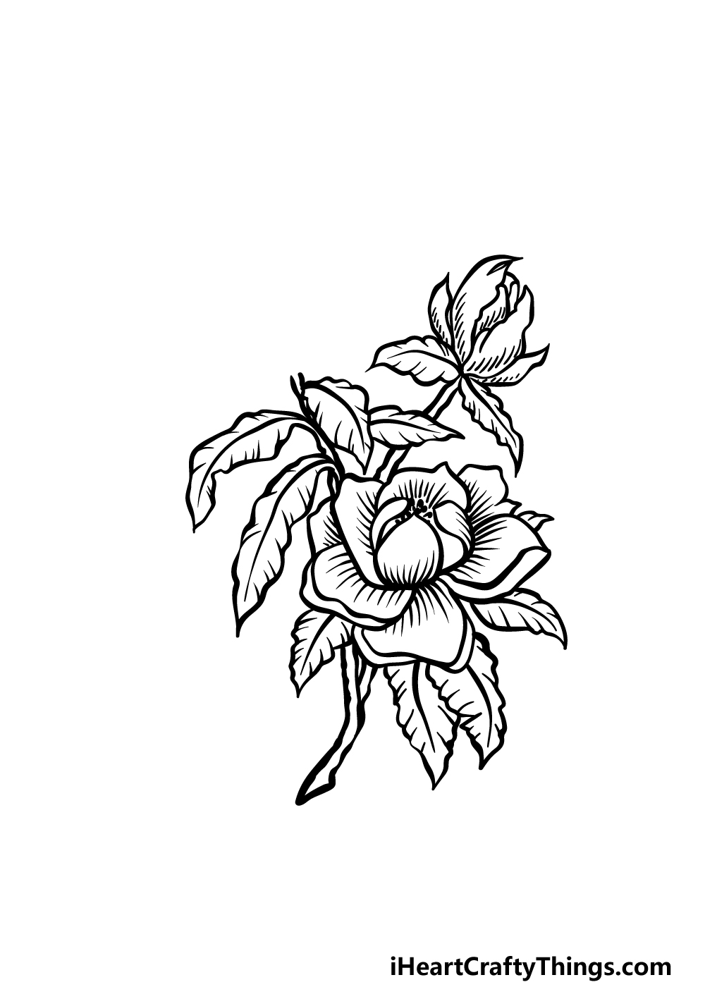 how to draw magnolia flower step 4