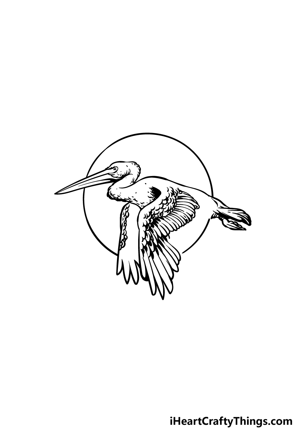 how to draw a pelican step 4