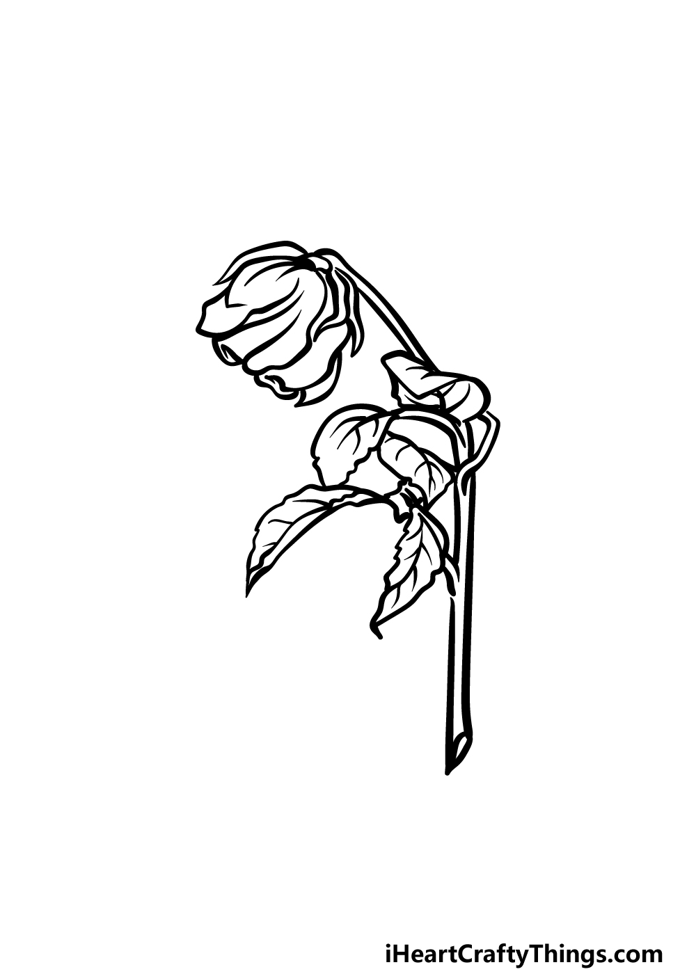 how to draw a dead rose step 5