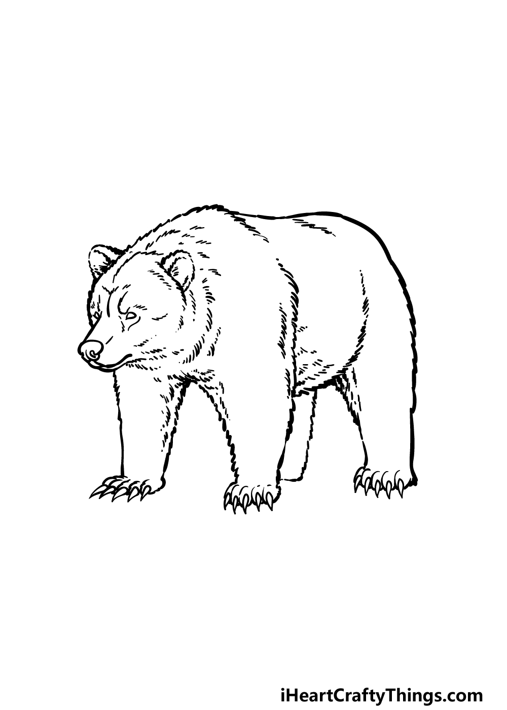 how to draw a grizzly bear step 5