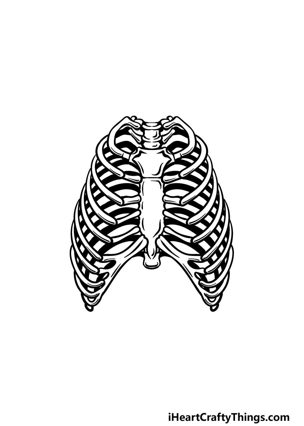 how to draw a rib cage step 5