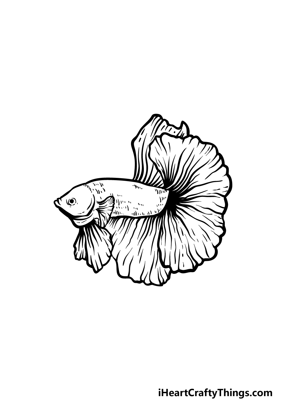 how to draw a Betta Fish step 5