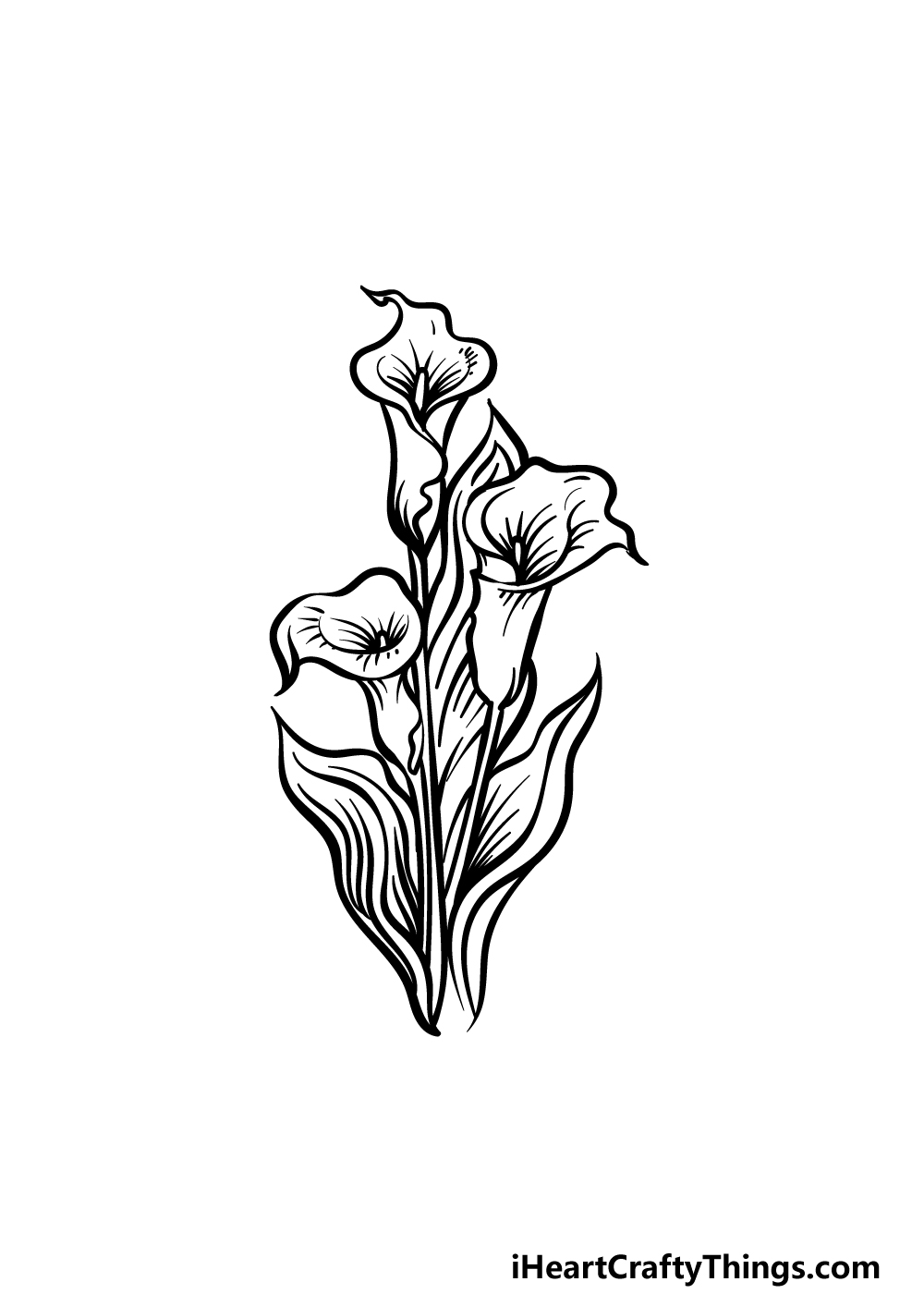 how to draw a Calla Lily step 5