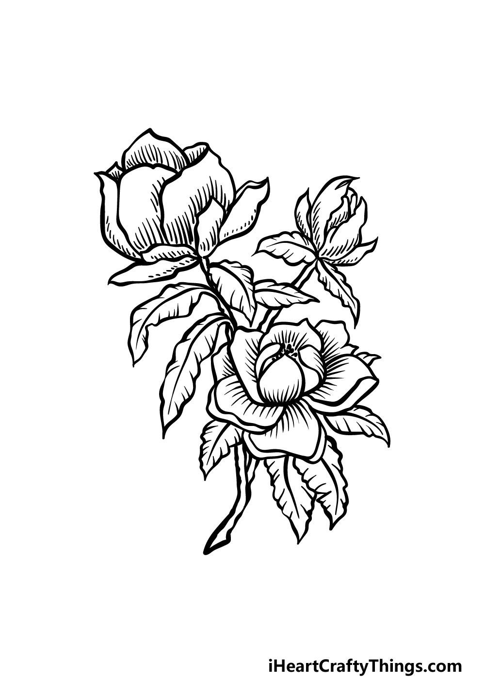 how to draw magnolia flower step 5