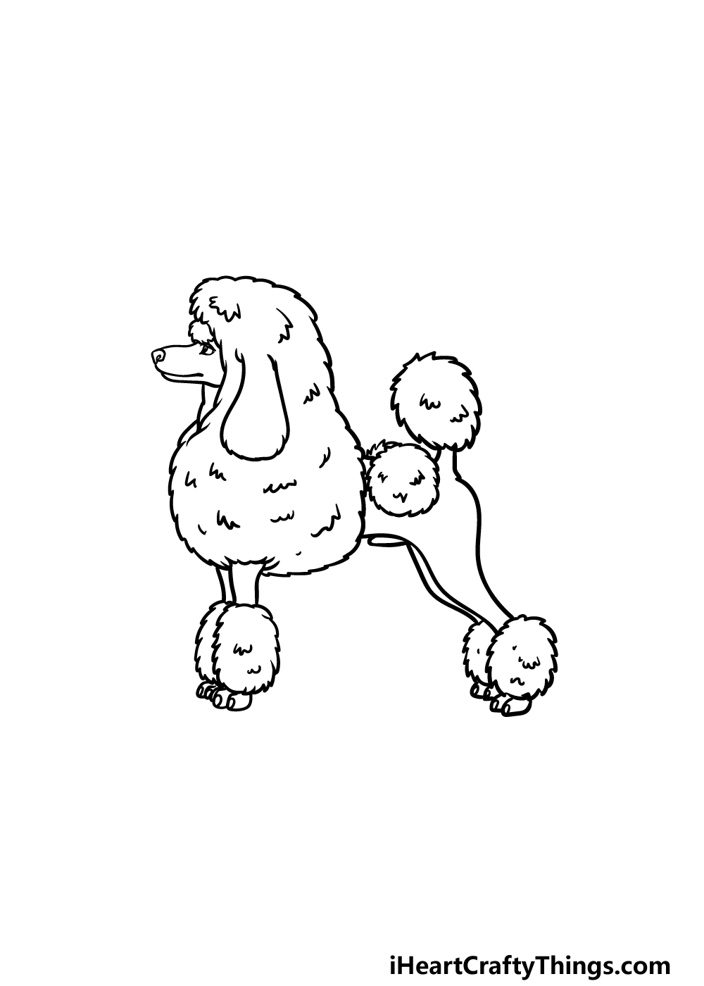 how to draw a Poodle step 5