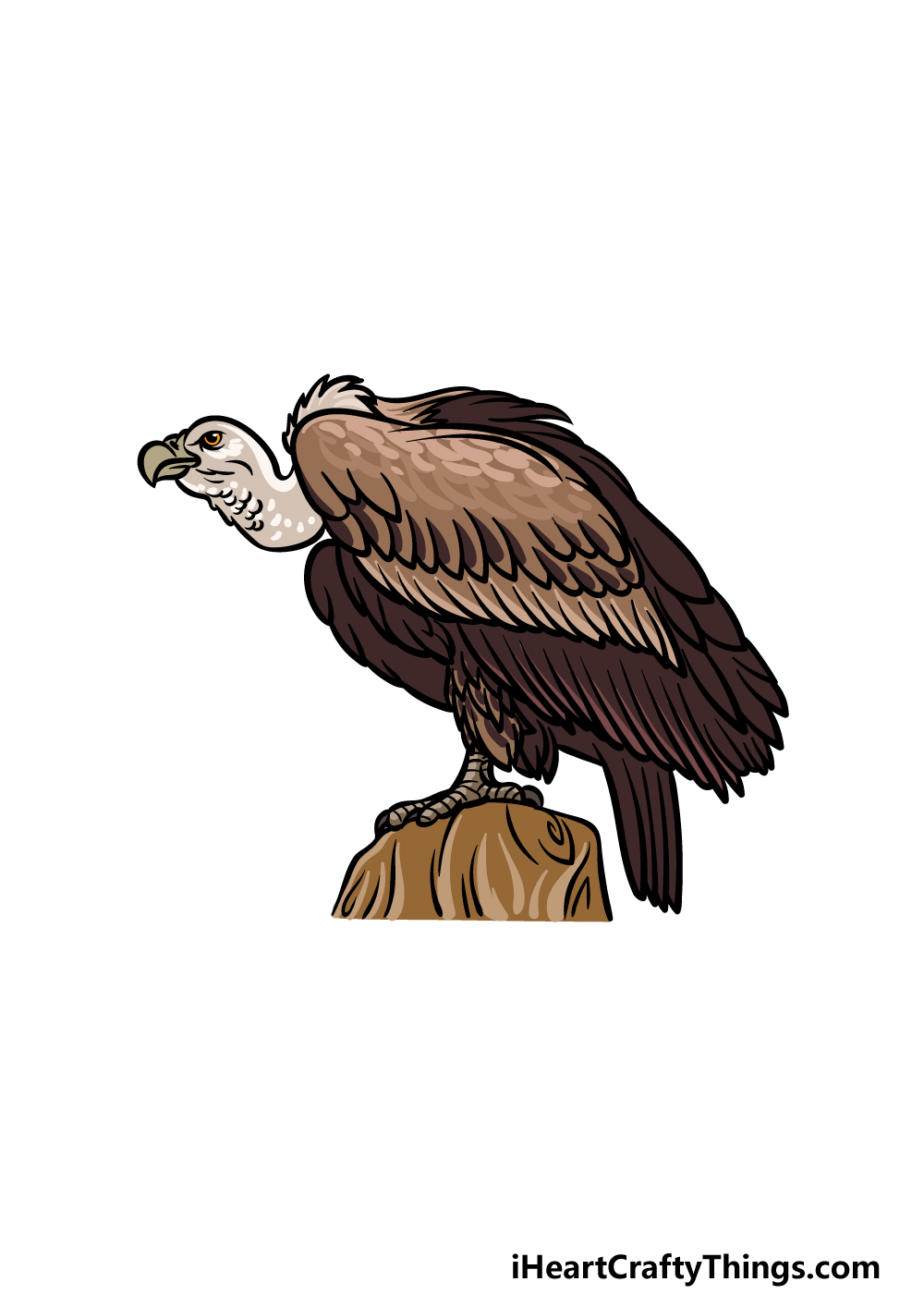 how to draw a Vulture step 6