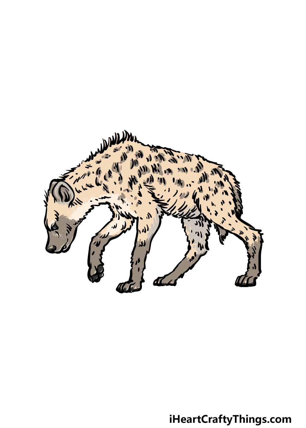 how to draw a hyena step 6