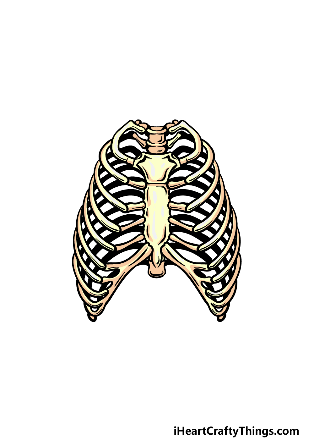 how to draw a rib cage step 6