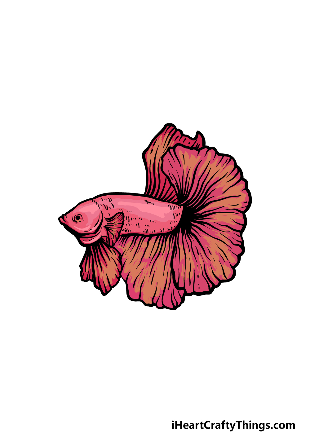 how to draw a Betta Fish step 6