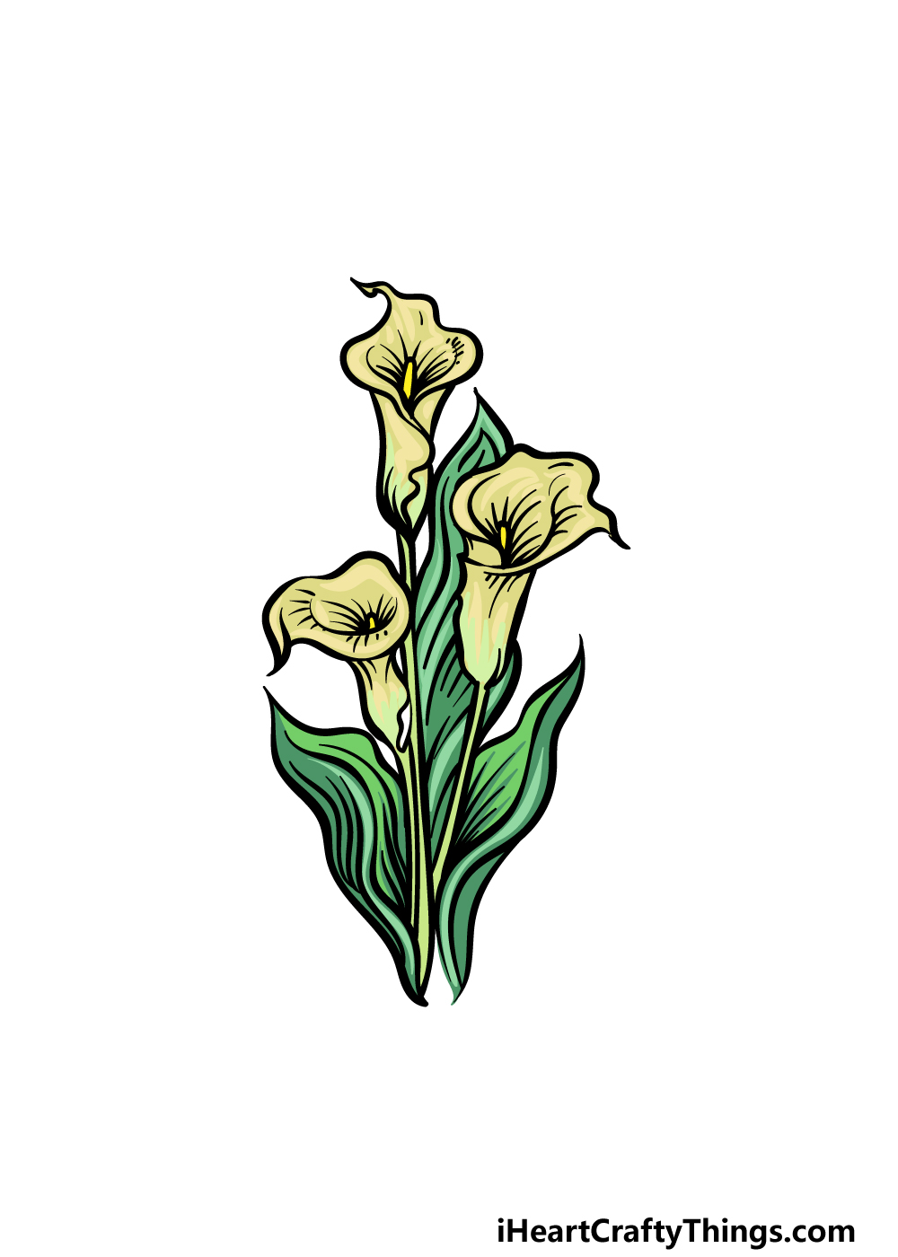how to draw a Calla Lily step 6
