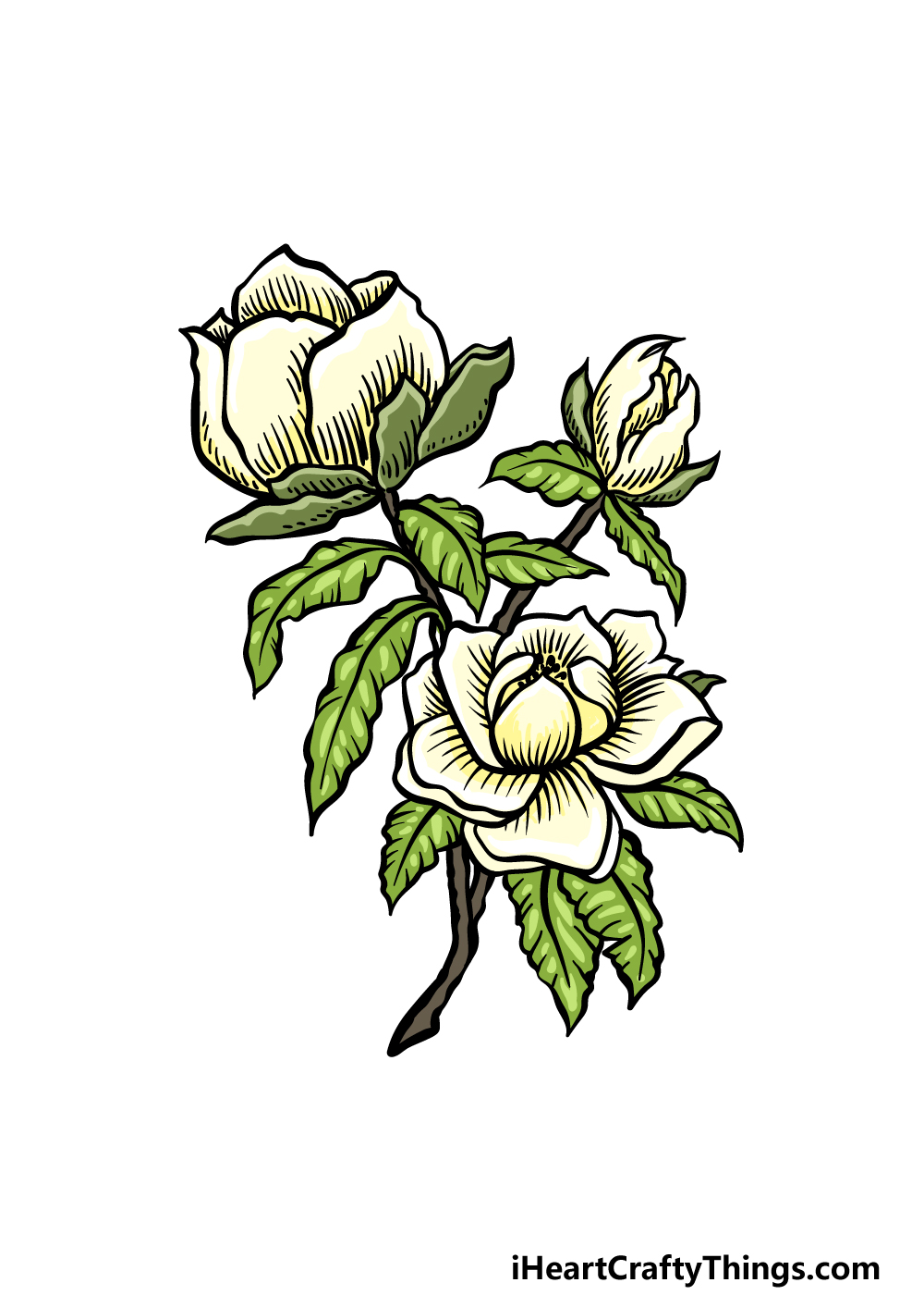 how to draw magnolia flower step 6