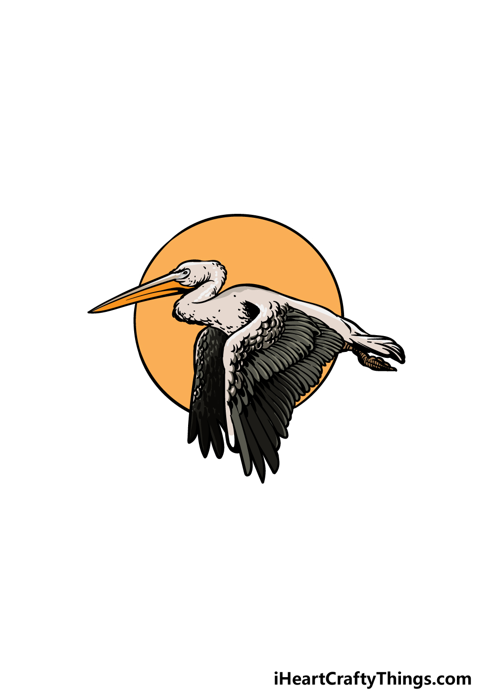 how to draw a pelican step 6
