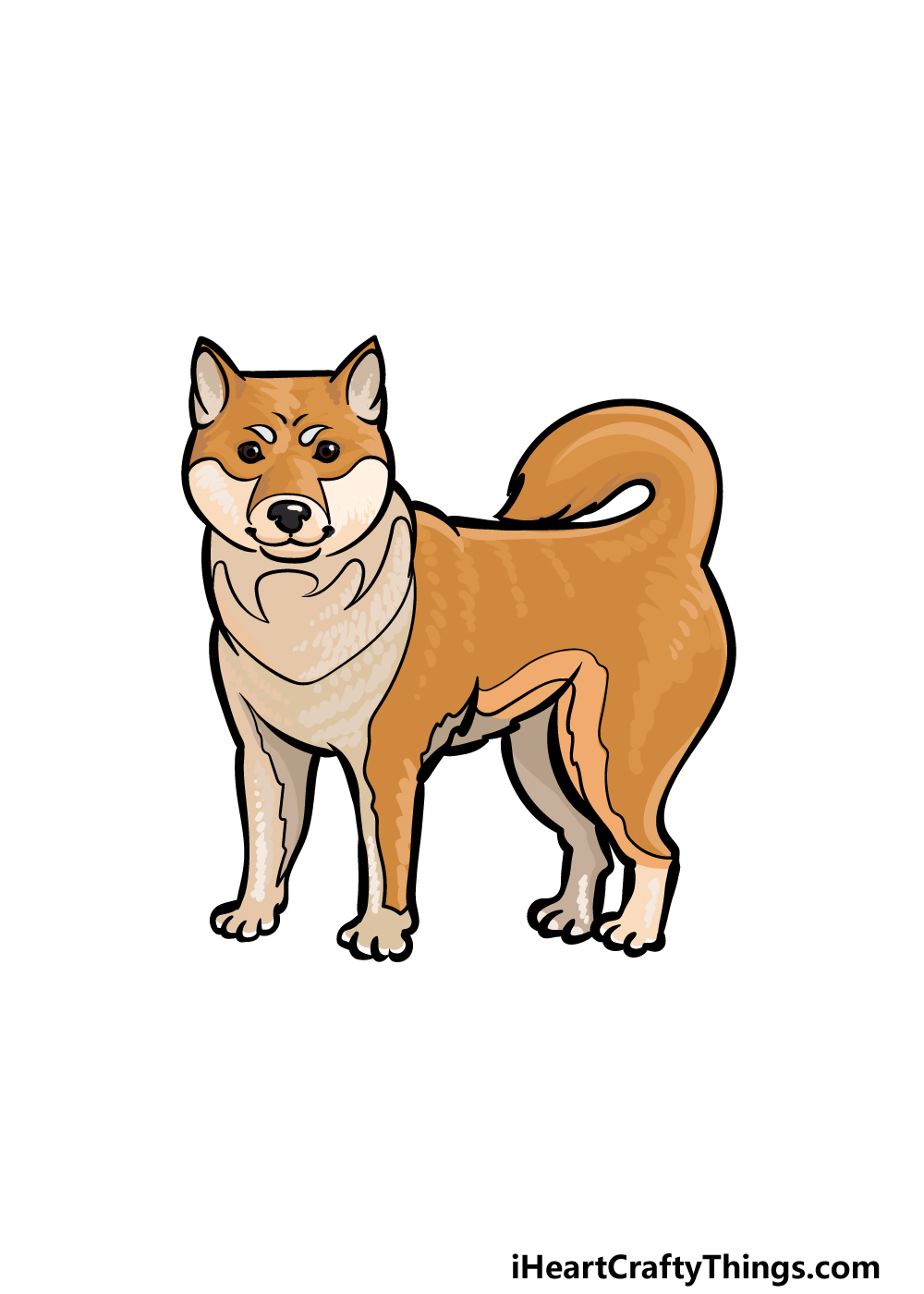 how to draw a Shiba Inu step 6