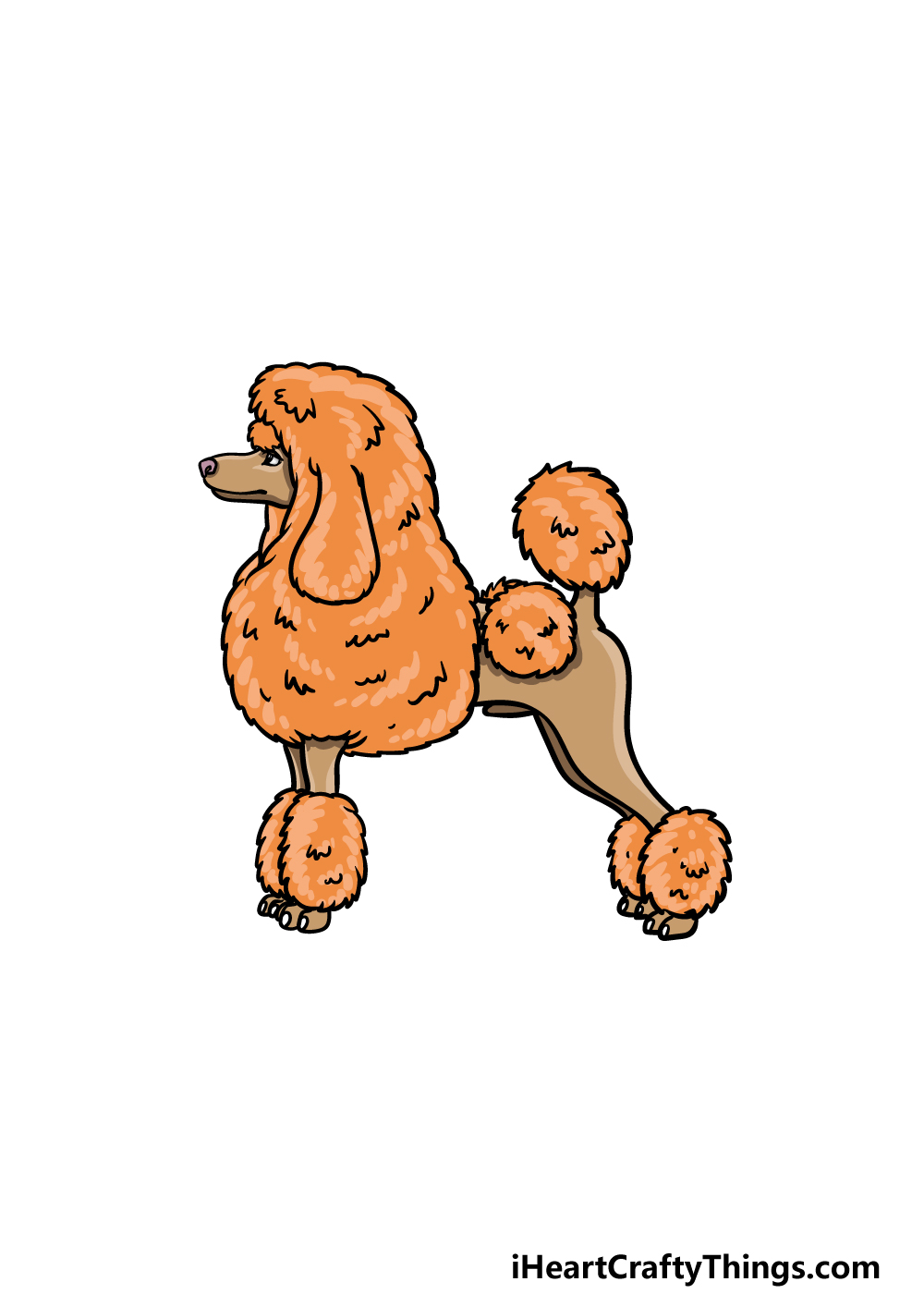 how to draw a Poodle step 6