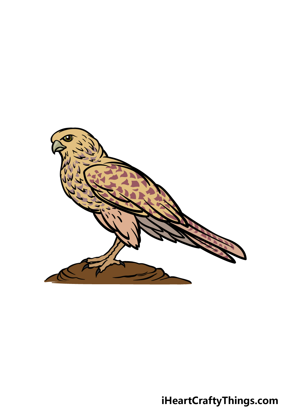 how to draw a Falcon step 6