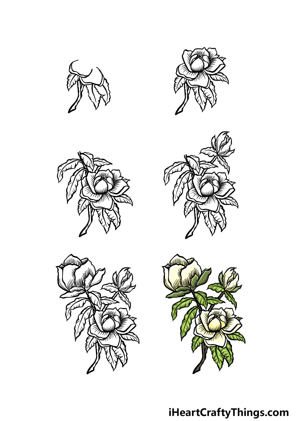 how to draw magnolia flower in 6 steps
