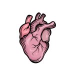 how to draw a realistic heart image