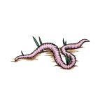 how to draw a worm image