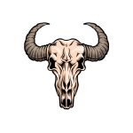 how to draw a bull skull image