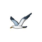 how to draw a Seagull image