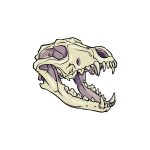 how to draw a Wolf Skull image