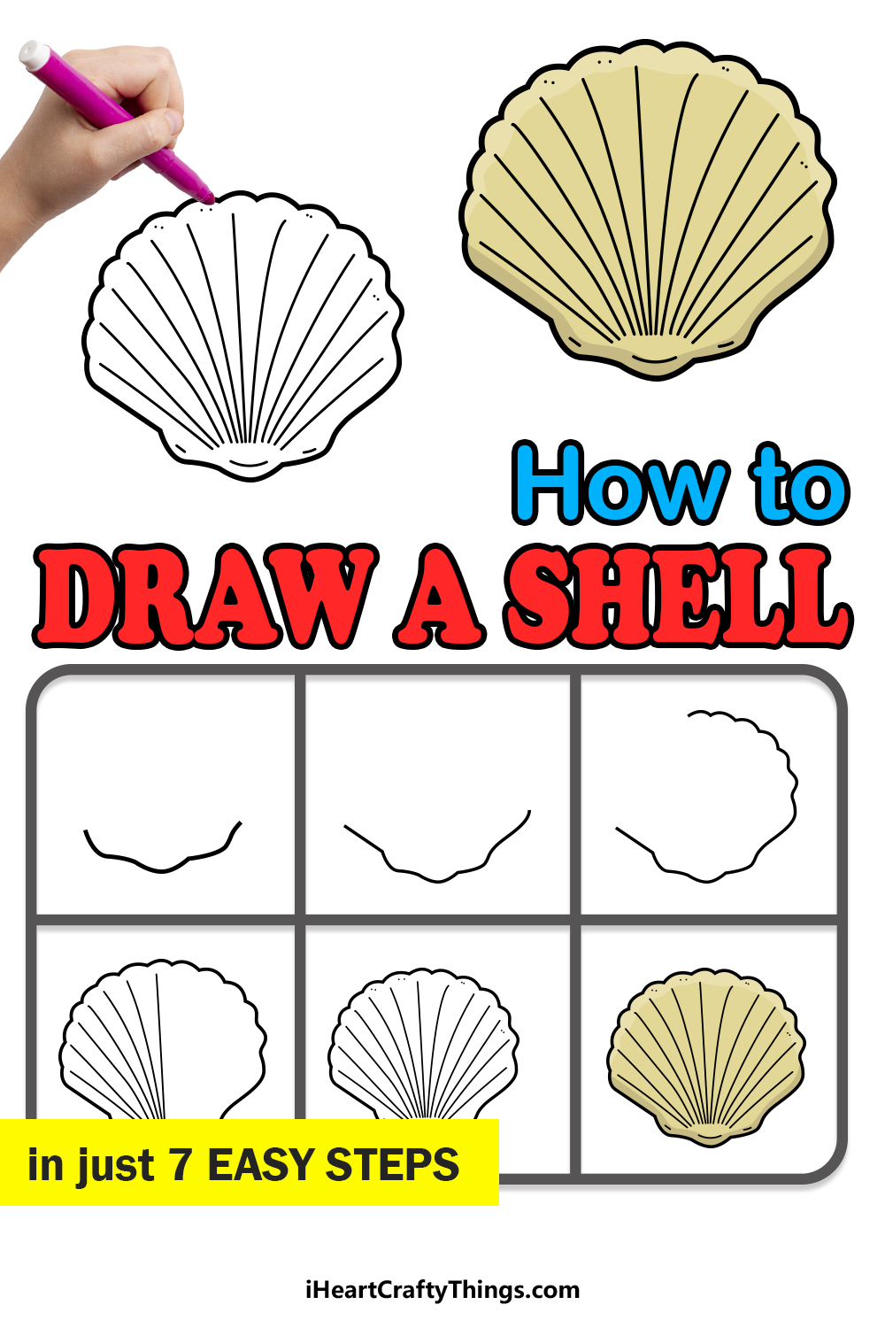 how to draw a shell in 7 easy steps