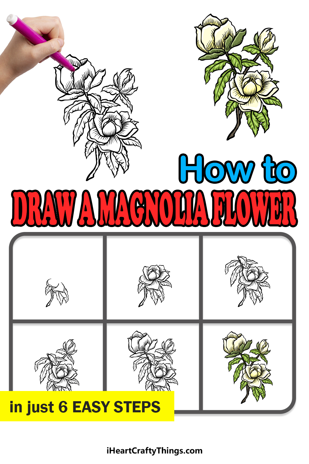 how to draw magnolia flower in 6 easy steps