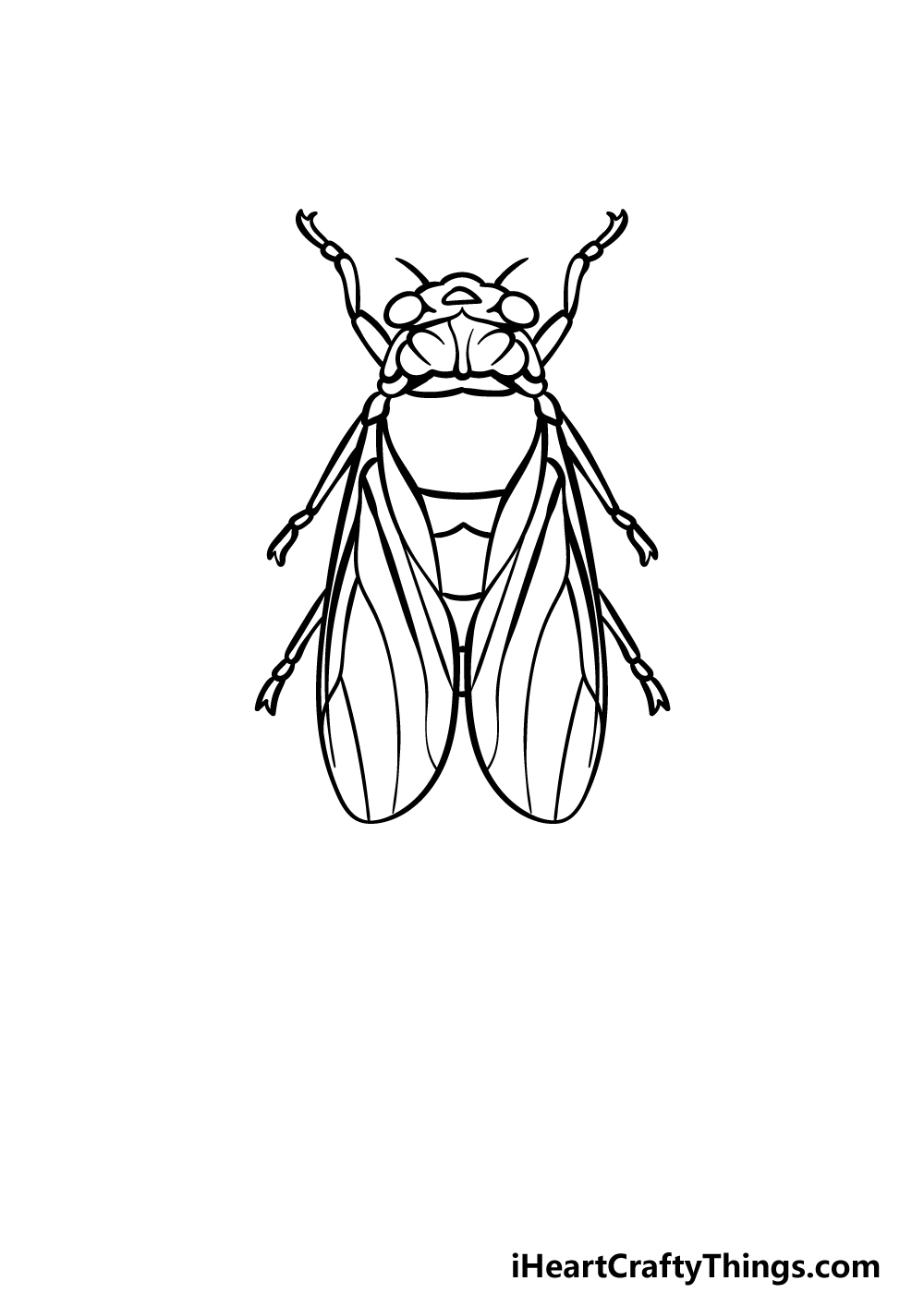 how to draw a Cicada step 2