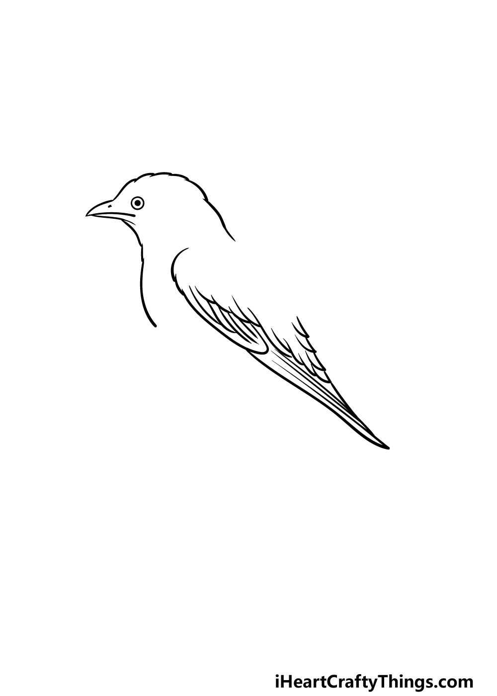 how to draw a Bluebird step 2