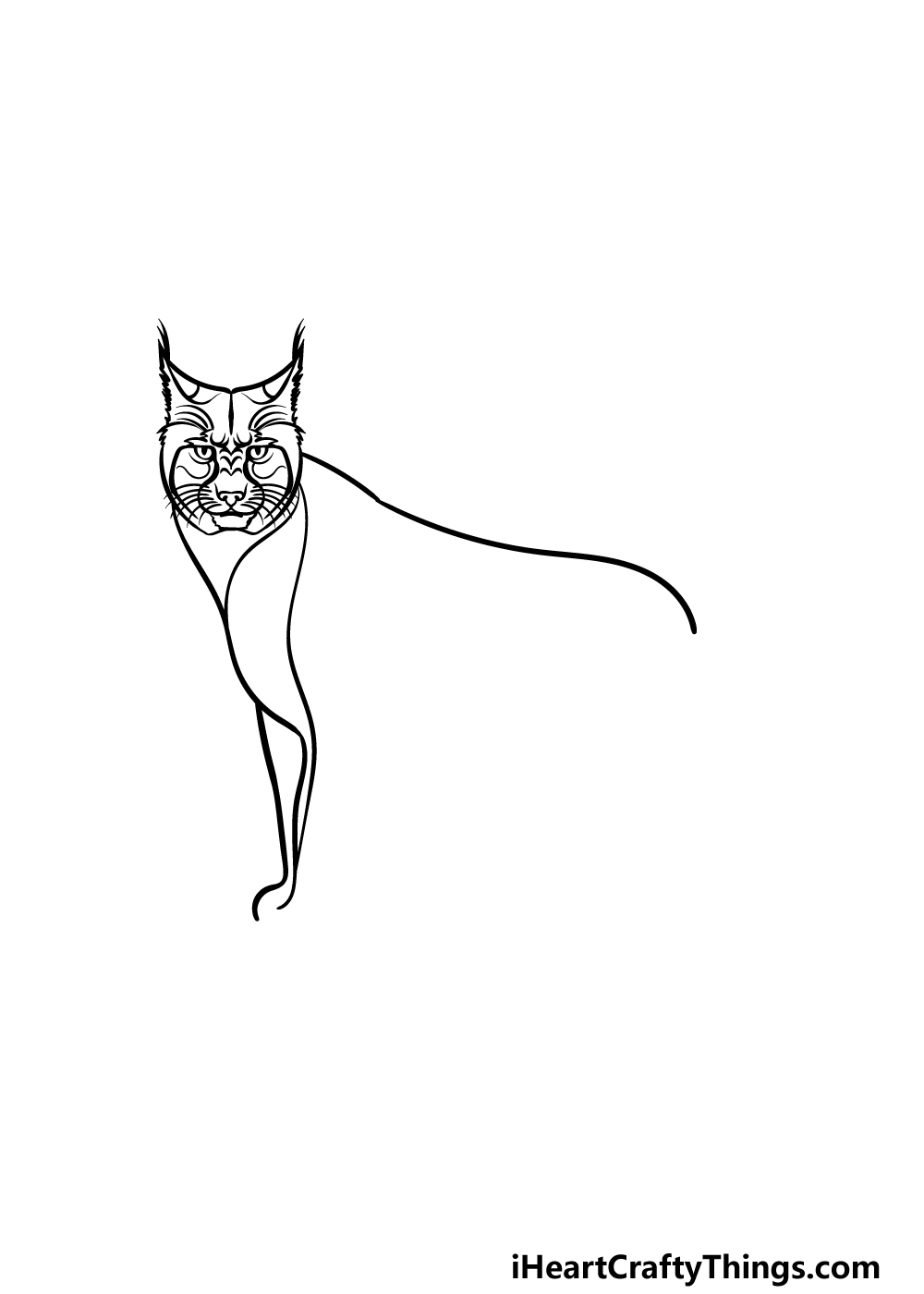 how to draw a Bobcat step 2