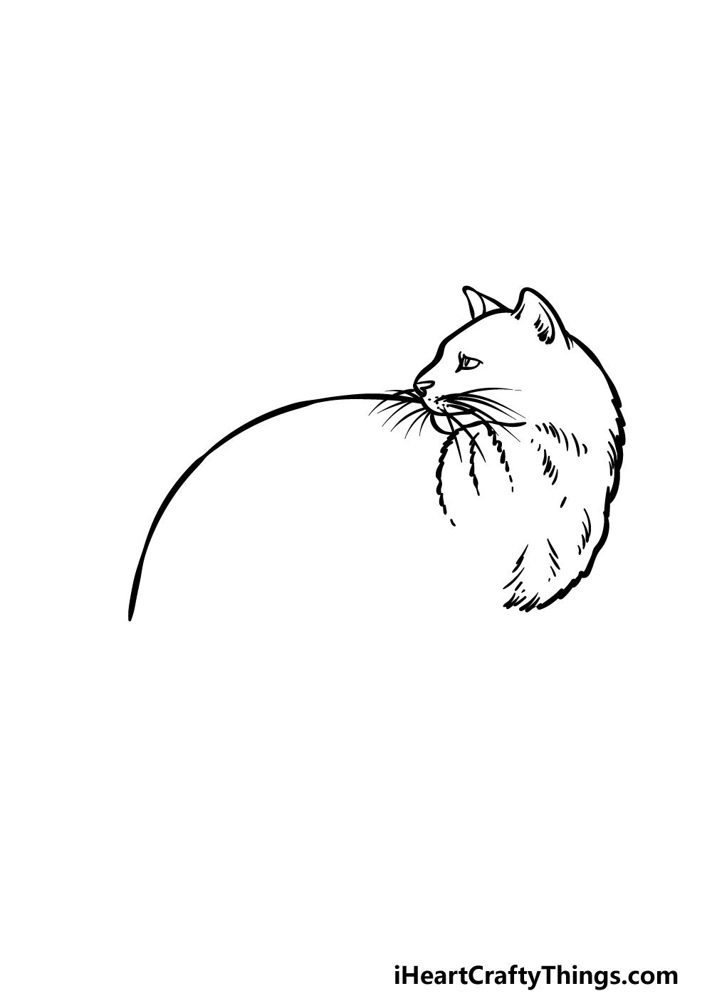 how to draw a Black Cat step 2