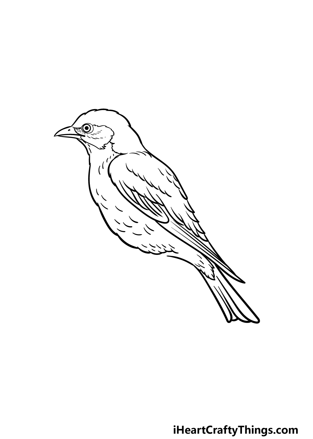 how to draw a Bluebird step 3